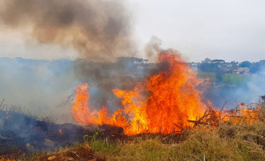 Corpo de Bombeiros combate incêndio em grande área de vegetação