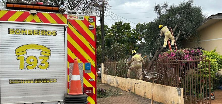 Com a força do vento, árvore cai sobre residência no Interlagos