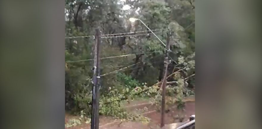 Galhos de árvores caem e atrapalham trânsito no 14 de Novembro