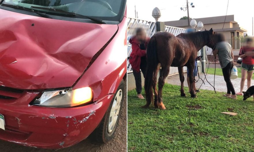 Colisão entre carro e cavalo deixa pessoa ferida no Cascavel Velho