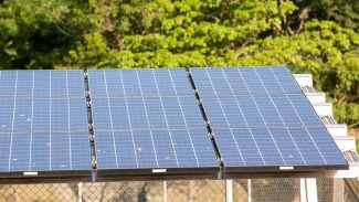 Ao não investir em energia suja, G20 pode combater fome, propõe estudo