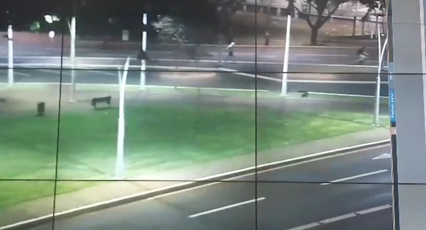 Vídeo mostra correria na Praça da Bíblia após homem ser morto na Avenida Assunção