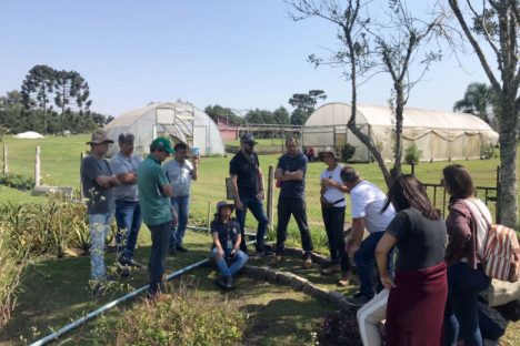 Casa da Agroecologia do IDR-Paraná recebe visita de técnicos de Santa Catarina