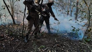 Incêndios queimaram 30% de área do Pantanal em 2020, mostra estudo