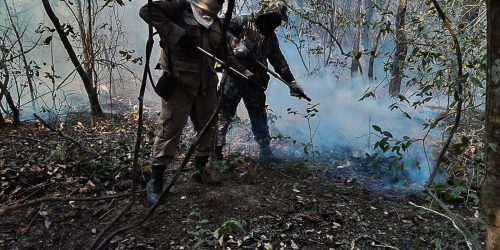 Imagem referente a Incêndios queimaram 30% de área do Pantanal em 2020, mostra estudo