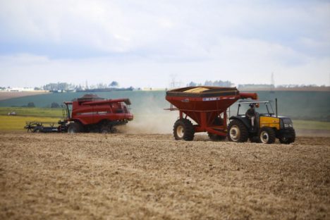 Área de soja deve crescer e de milho diminuir no Paraná, aponta estimativa da safra 23/24