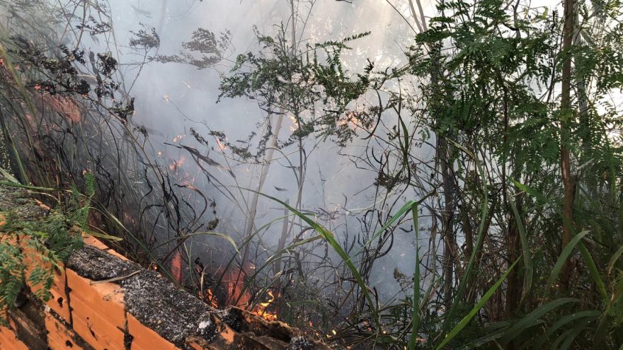 Bombeiros combatem incêndio em vegetação no Periolo