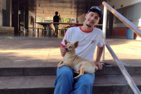 “Caramelos” e pinscher porteiro: conheça animais que agora são parte da rede estadual do Paraná