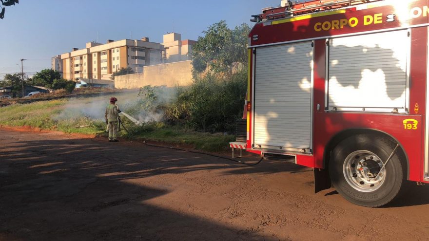 Bombeiros combatem incêndio em vegetação no Bairro Neva