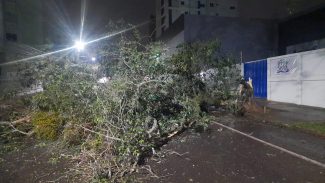 Chuva vem acompanhada de vento forte e vários estragos são registrados em Cascavel