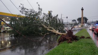 Em Cascavel, 421 unidades consumidoras ficaram sem energia elétrica em decorrência do temporal