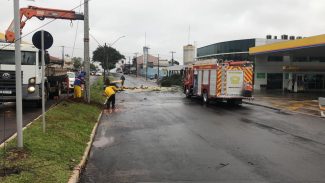 Avenida Rocha Pombo é liberada após corte de árvore e substituição de poste