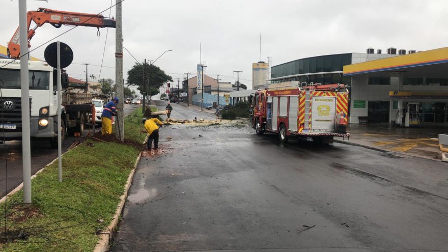 Avenida Rocha Pombo é liberada após corte de árvore e substituição de poste