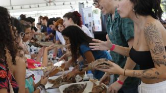 Festival Museu Nacional Vive leva público à Quinta da Boa Vista