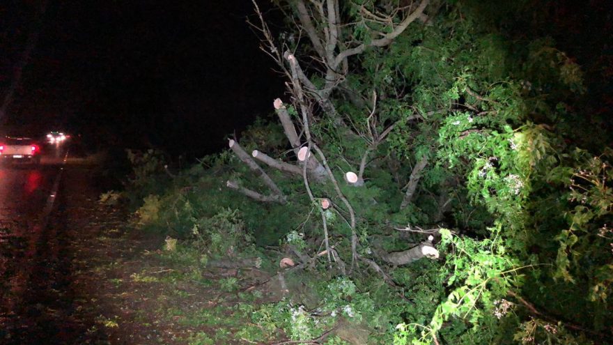 Temporal derruba árvores e postes na BR-369 entre Cascavel e Corbélia