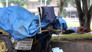 Ações do Brasil sem Fome vão atender 33,1 milhões de pessoas