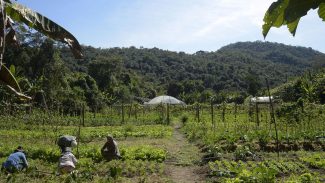 Lei institui política de empreendedorismo para jovens no campo