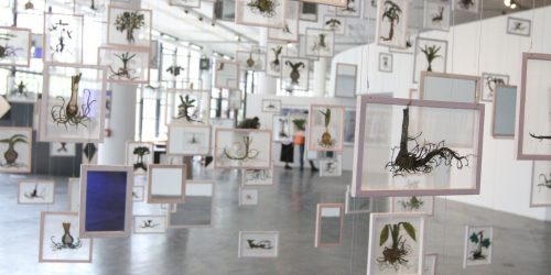 Imagem referente a Bienal de São Paulo abre hoje com Coreografias do Impossível