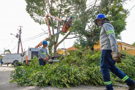 Imagem referente a Temporais com ventos fortes afetam rede de energia com cada vez mais intensidade