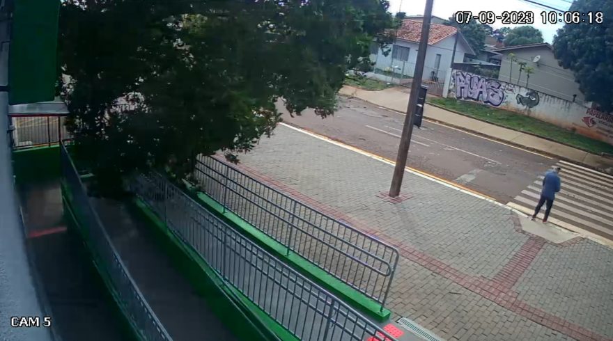 Câmera flagra grande árvore caindo sobre Escola Hermes Vezzaro; por pouco mulher não é atingida