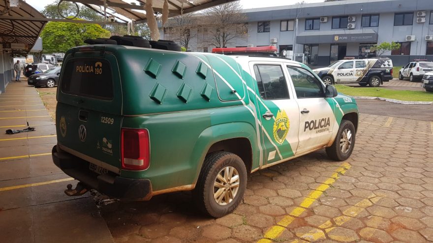 Polícia Militar Ambiental é acionada após situação de desmatamento
