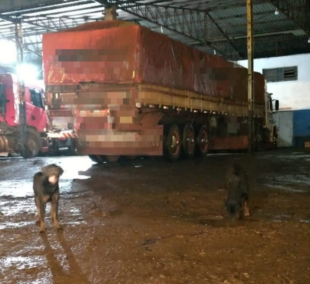 Trabalhador sofre laceração grave no braço após ser atacado por dois Rottweilers em passarela no bairro Cataratas