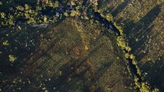 Desmatamento do Cerrado ameaça segurança hídrica de todo o Brasil