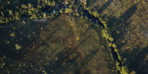 Imagem referente a Desmatamento do Cerrado ameaça segurança hídrica de todo o Brasil