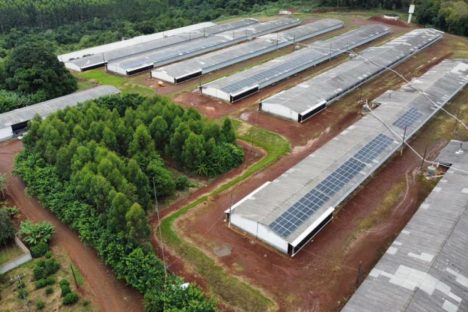BRDE financiou R$ 1,2 bilhão em projetos de energia limpa no Paraná desde 2019