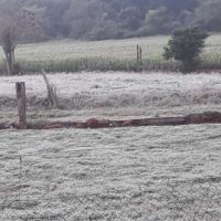 Com a chegada da primavera, IDR-Paraná e Simepar encerram Alerta Geada 2023