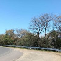 Rodovia em União da Vitória recebe reforço de segurança viária próximo ao Rio Iguaçu
