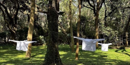 Imagem referente a Evento inédito resgata conexão cultural para o Parque do Flamengo