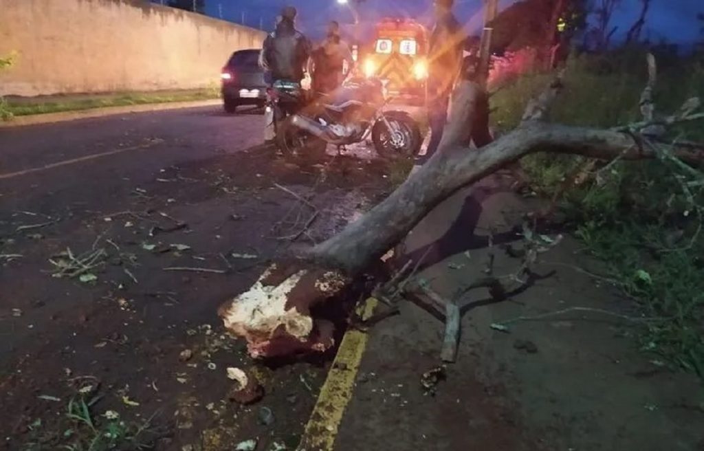 Galho cai e atinge motociclista durante ventania em Apucarana
