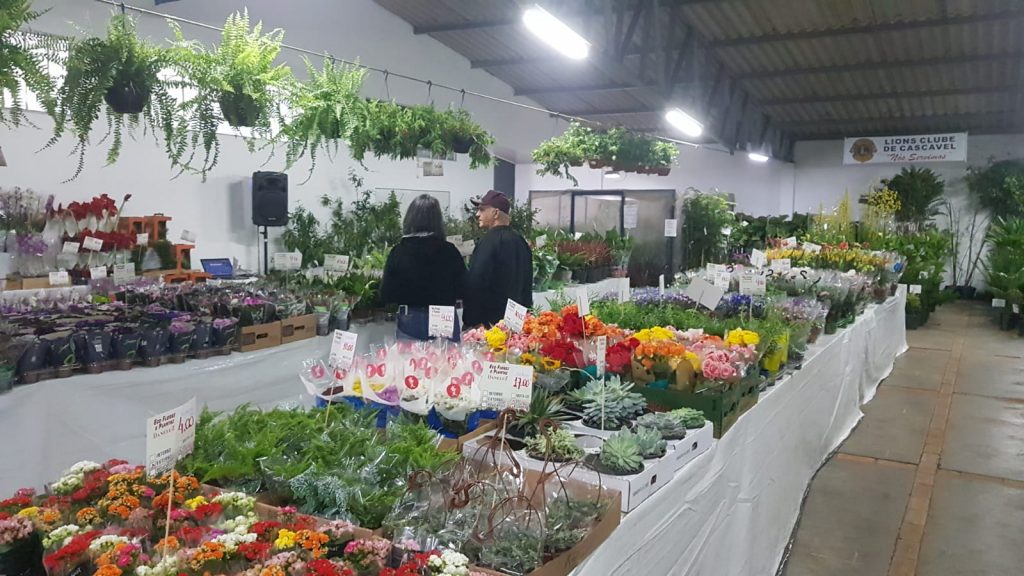 Feira de plantas tem opções para todos os gostos em Cascavel