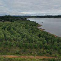 Paraná participa de feira náutica para promover potencial de navegação e turismo de natureza
