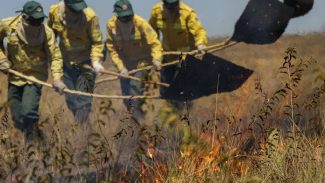 Uso consciente do fogo reduz incêndios na Chapada dos Veadeiros (GO) 