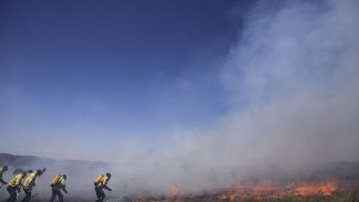 Quilombolas lideram combate ao fogo na Chapada dos Veadeiros