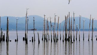 Projetos para a Baía de Guanabara colecionam fracassos desde anos 1990