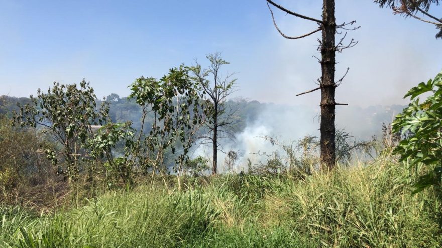 Corpo de Bombeiros combate incêndio em vegetação no Brasmadeira