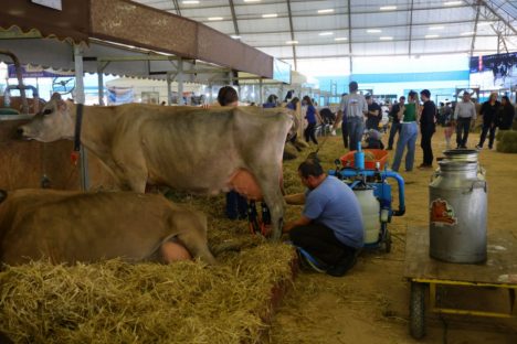 Paraná tem nove cidades na liderança da produção agropecuária nacional