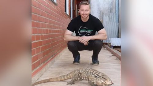 Lagarto que morava sozinho dentro de casa abandonada é resgatado após morte de tutores Imagem referente a Lagarto que morava sozinho dentro de casa abandonada é resgatado após morte de tutores