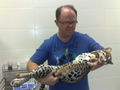 Morre o médico veterinário Ildo José Pogorzelski aos 59 anos Imagem referente a Morre o médico veterinário Ildo José Pogorzelski aos 59 anos