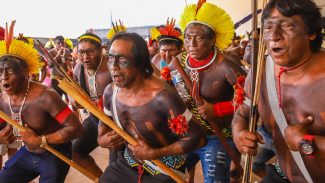 Indígenas e órgãos internacionais celebram derrubada do marco temporal