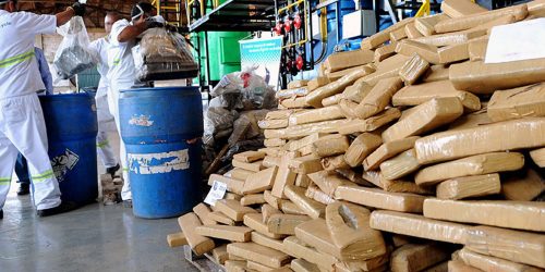 Pesquisa revela graves problemas na aplicação da Lei de Drogas