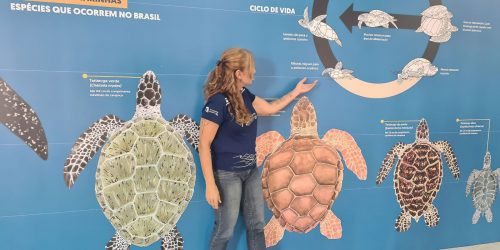 Imagem referente a Projeto Albatroz abre centro de educação ambiental em Cabo Frio