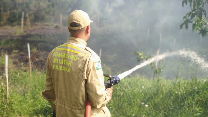 Corpo de Bombeiros combate incêndio em grande área de mata no Floresta