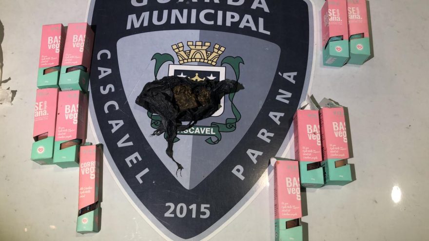 GM encontra maconha e maquiagem em árvore na Praça da Bíblia