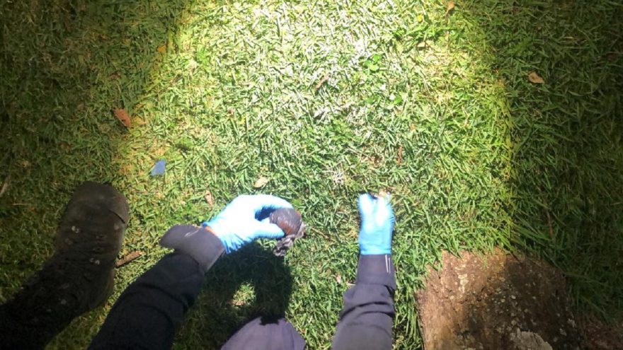 Veja o momento em que Guarda Municipal retira droga de buraco na Praça da Bíblia