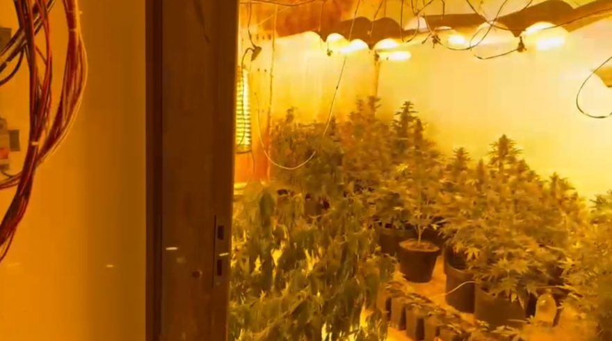 PCPR prende em flagrante quatro homens e apreende drogas em Curitiba e RMC