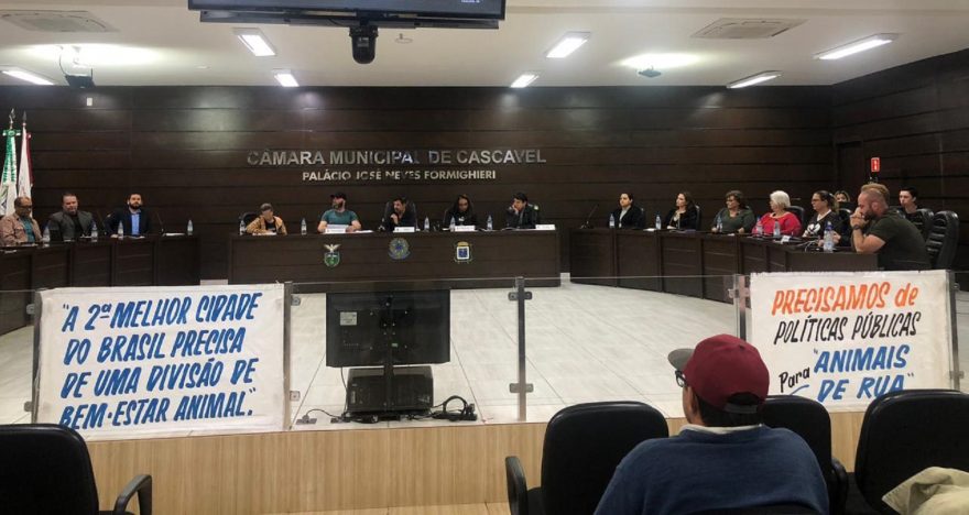 Audiência Pública discute causa animal em Cascavel